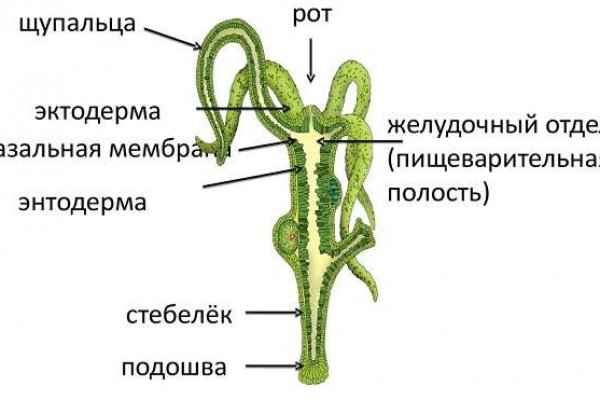 Войти на кракен