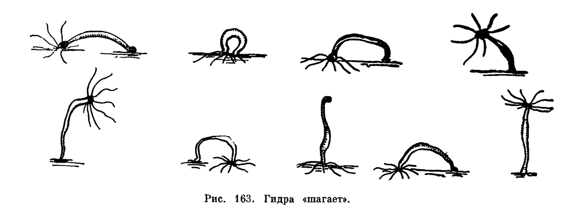 Kraken зеркало kr2web in